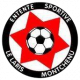 Logo Etoile Sportive le Laris Montchenu