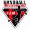 Logo SAM Handball Moncoutant 2