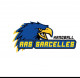 Logo AAS Sarcelles Handball 3