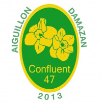 Logo Confluent Football 47