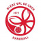 Logo Bléré Val de Cher Handball