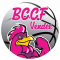 Logo BCCF Vendée - Basket Chauché Chavagnes St Fulgent 2