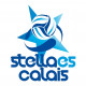 Logo Stella ES Calais Volley 3