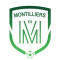 Logo ES Montilliers 2
