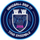 Logo Handball Brie 77 2
