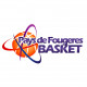 Logo Pays de Fougères Basket 3
