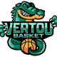 Logo Vertou Basket
