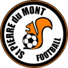 SPORTING CLUB ST PIERRE DU MONT FOOTBALL