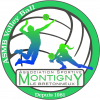 Logo AS Montigny le Bretonneux Volley-Ball