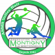 Logo AS Montigny le Bretonneux Volley-Ball 3