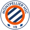 Logo Montpellier HSC VB