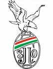 Logo Saint Jean de Luz Olympique 2 - Cadets
