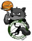 Logo Nyons Basket Club
