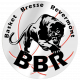 Logo Basket Bresse Revermont 3