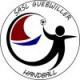 Logo Sasl Guebwiller