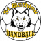Logo Saint Mathieu Handball