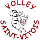 Logo Volley Saint Vitois