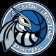 Logo CO Région Elbeuvienne 3