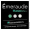 Logo Émeraude Handball 2