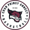 Logo Cran Pringy Basket