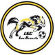 Logo LSG - Les Brouzils