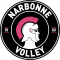Logo Narbonne Volley