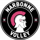 Logo Narbonne Volley 3