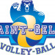 Logo Saint-Gély Volley-Ball 5