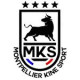 Logo IF Montpellier Kiné