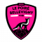 Logo Le Poiré Bellevigny Vendée Handball 3