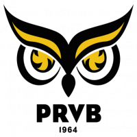 Logo Plessis-Robinson Volley Ball