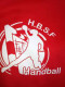 Logo Handball St Florent des Bois