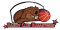 Logo Basket Club Pays Rabastinois 2