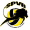 Logo Saint-Pierre Volley-Ball
