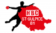 Logo HBC Saint Sulpice 81 3