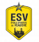 Logo Étoile Sportive de Veauche 6