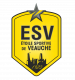 Logo Étoile Sportive de Veauche 2