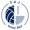 Logo Conflans Andrésy Jouy Volley-Ball 2
