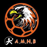 Logo Association Marinoise de Handball