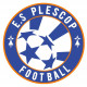 Logo ES Plescop 2