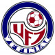 Logo Union Football Yffiniac