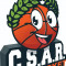 Logo CS Aigrefeuille Remouille Basket