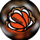 Logo Aubervilliers Avenir Basket Ball