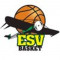 Logo ES Viry Chatillon Basket 3
