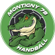 Logo AS Montigny le Bretonneux Handball 4