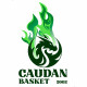 Logo Caudan Basket 2