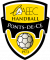 Logo AAEEC Handball Les Ponts-de-Cé 2