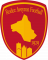 Logo Rodez Aveyron Football 3