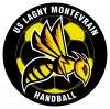US Lagny Montevrain Handball 3