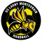 Logo US Lagny Montevrain Handball